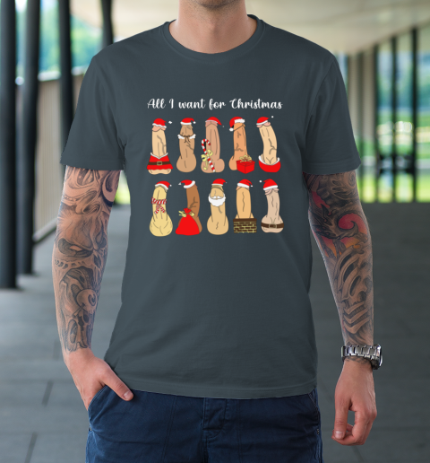 Betrouwbaar Humanistisch Refrein All I Want For Christmas Is Cock Funny Christmas T-Shirt | Tee For Sports