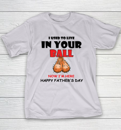 I Used To Live In Your Balls Funny Dad Father's Day Youth T-Shirt 3