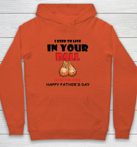 I Used To Live In Your Balls Funny Dad Father's Day Hoodie 3