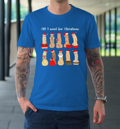All I Want For Christmas Is Cock Funny Christmas T-Shirt