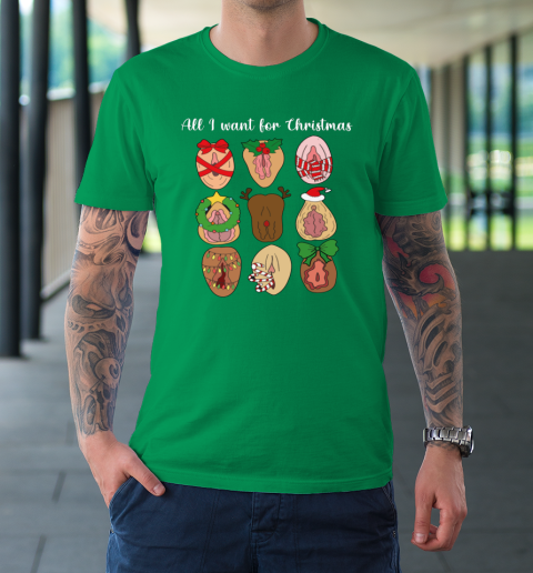 All I Want For Christmas Is Pussy Ugly Christmas Funny Naughty Santa T-Shirt 5