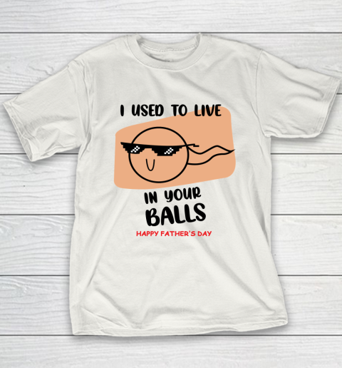 I Used To Live In Your Balls Father's Funny Birthday For Dad Youth T-Shirt