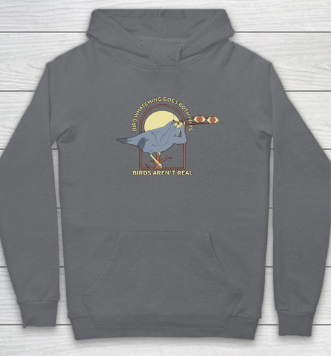 Birds Aren't Real Hoodie 3