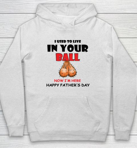 I Used To Live In Your Balls Funny Dad Father's Day Hoodie