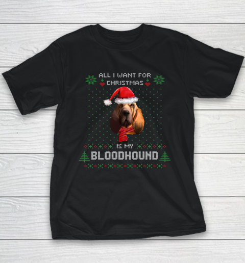 ALL I WANT FOR CHRISTMAS IS MY BLOODHOUND Youth T-Shirt
