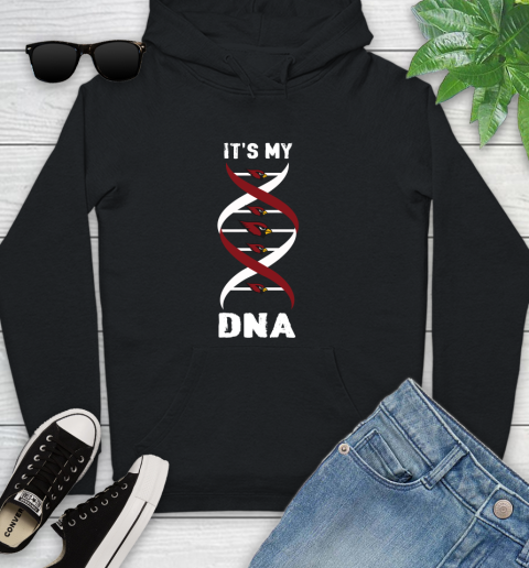Arizona Cardinals NFL Football It's My DNA Sports Youth Hoodie