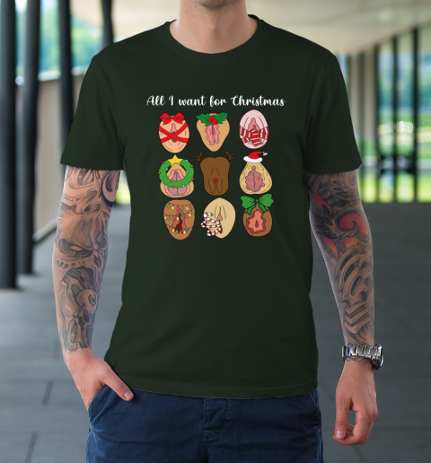 All I Want For Christmas Is Pussy Ugly Christmas Funny Naughty Santa T-Shirt 3