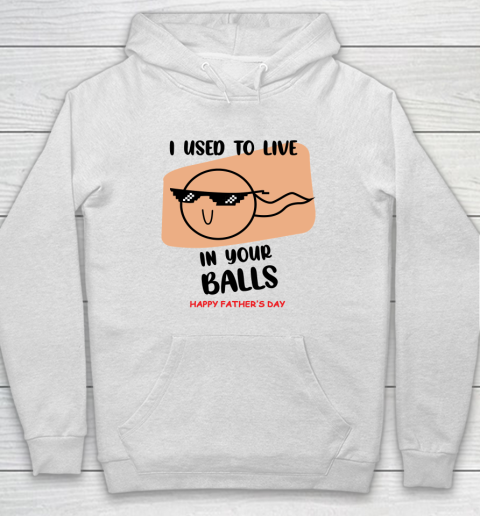 I Used To Live In Your Balls Father's Funny Birthday For Dad Hoodie