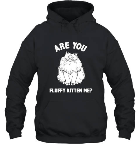 Are You Fluffy Kitten Me Pun Shirt  Kitten Cat Funny Shirt Hooded