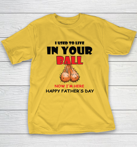I Used To Live In Your Balls Funny Dad Father's Day Youth T-Shirt 4